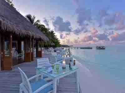 Zams Maldives