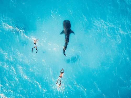 Bliss-Dhigurah-Zams-Maldives12