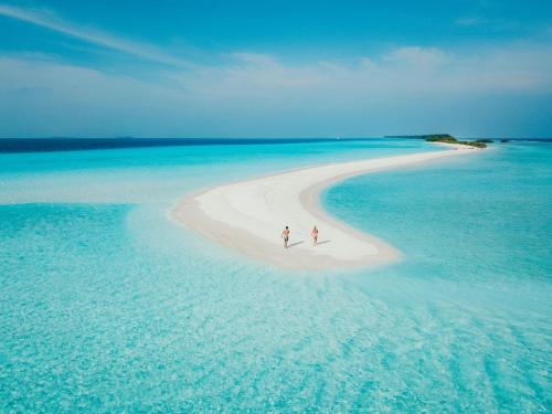 Bliss-Dhigurah-Zams-Maldives19