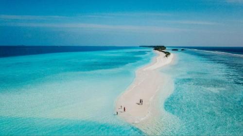 Bliss-Dhigurah-Zams-Maldives3