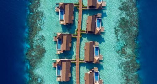 Waldorf-Astoria-Maldives-Ithaafushi-ZamsMaldives16